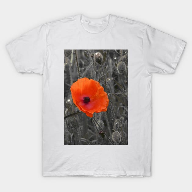 Remembrance Poppy T-Shirt by acespace